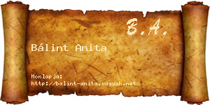 Bálint Anita névjegykártya
